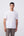 T-Shirt in Filo di Scozia