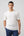 Maglia Bianco in Filo di Cotone 100% Manica Corta