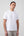 T-shirt  in Piqué Tecnico Stretch