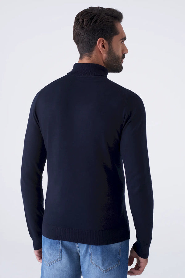 Basic solid color turtleneck