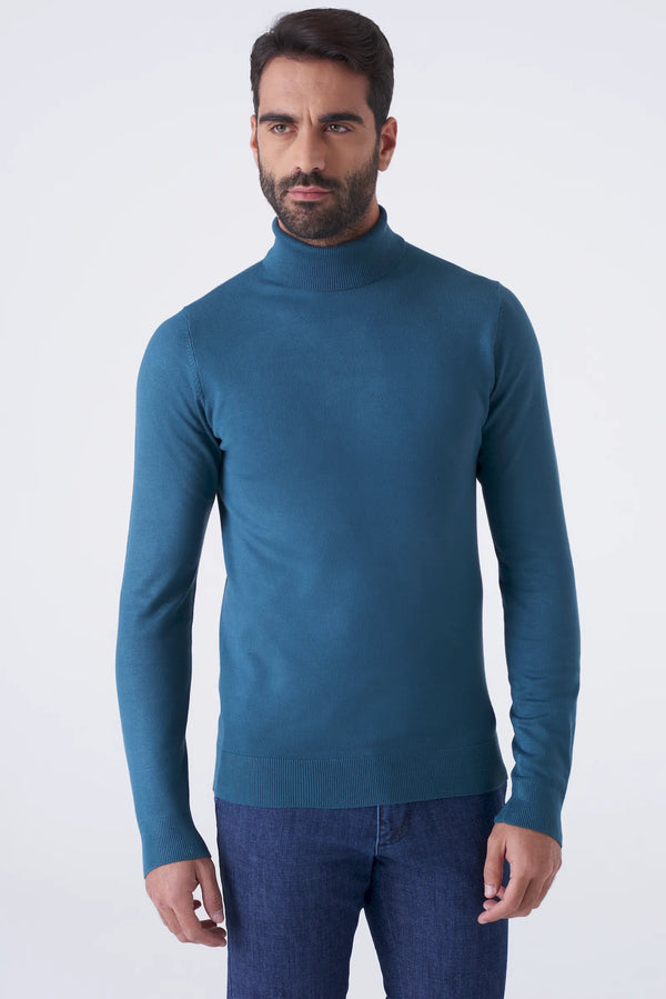 Basic solid color turtleneck