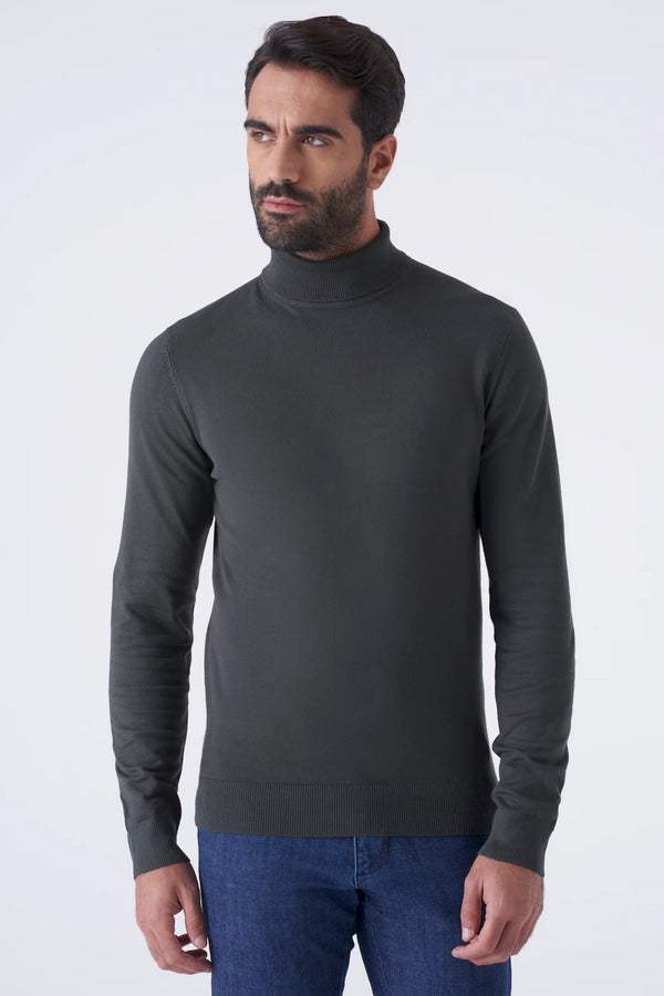 Basic solid color turtleneck