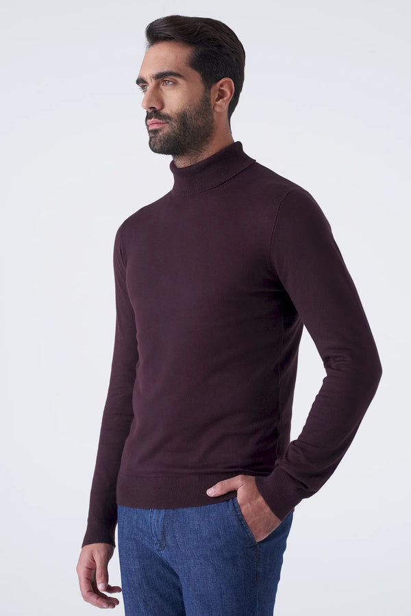 Basic solid color turtleneck