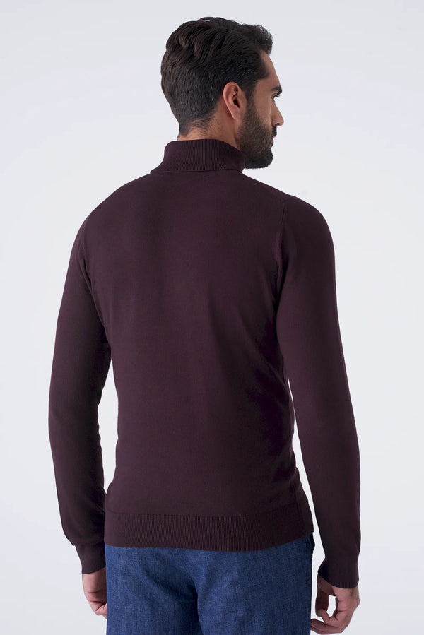 Basic solid color turtleneck